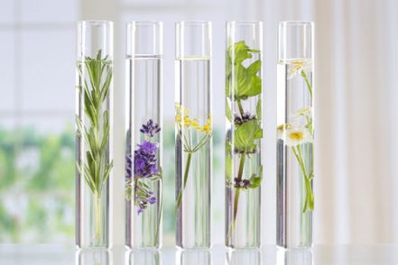 aromatherapie_couleur